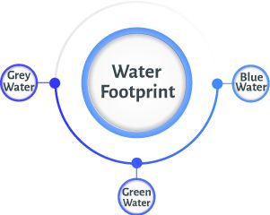 Water footprint