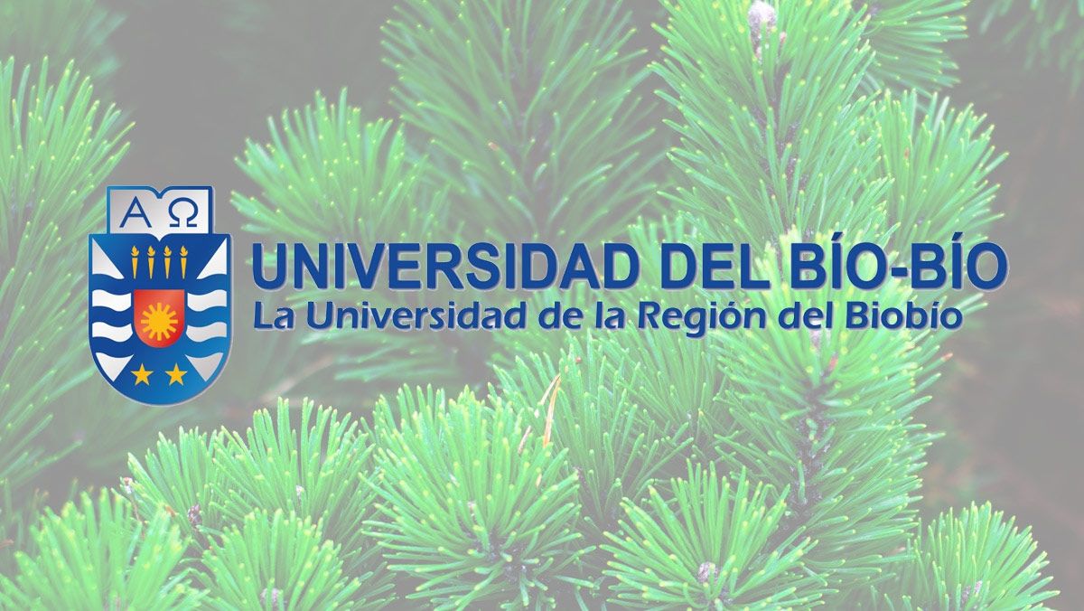 Ik ingeniería colabora con la universidad del Bío-Bío de Chile